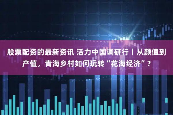 股票配资的最新资讯 活力中国调研行丨从颜值到产值，青海乡村如何玩转“花海经济”？