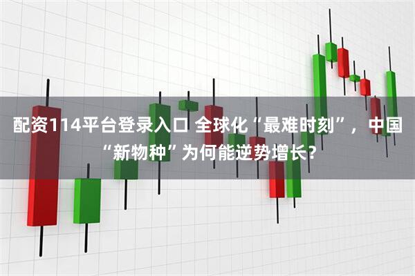 配资114平台登录入口 全球化“最难时刻”，中国“新物种”为何能逆势增长？